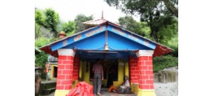விஷால்பத்ரி